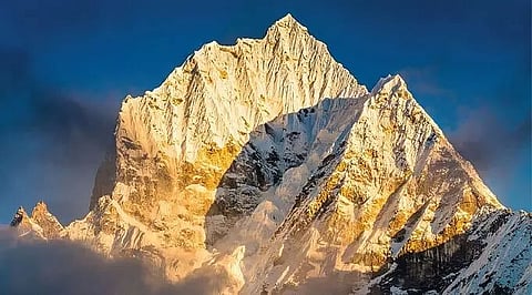 'Wild Himalaya' wins environmental award