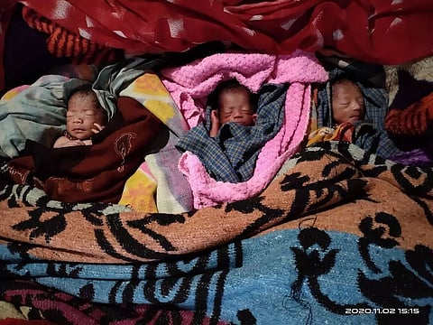 Chakma woman gives birth to triplet in Dharmapur village of Changlang district