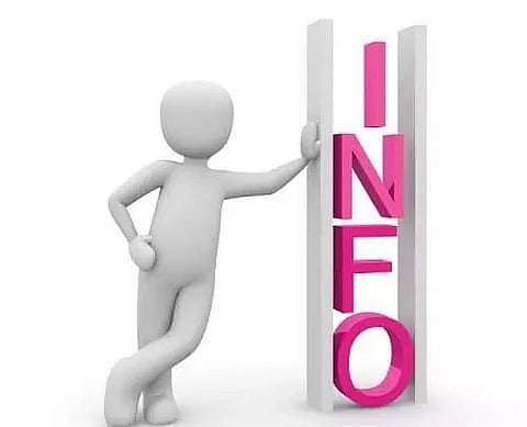 Information about subsidy for light passenger vehicles