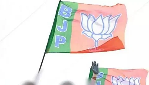BJP wins all 8 Gujarat seats