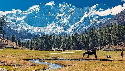 Imran Khan's party leads the race in Gilgit-Baltistan