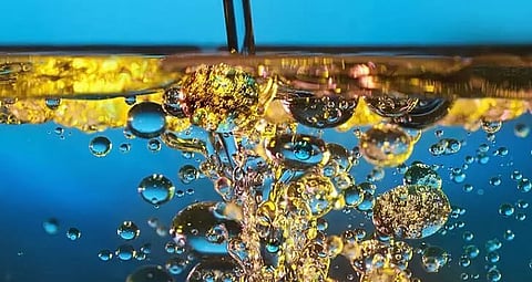 Researchers at IIT Guwahati develop special membranes that can separate oil from water