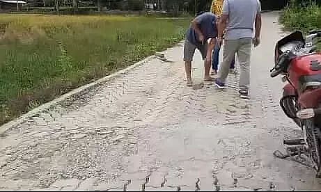 Bad roads of Moran, a glaring example of corruption in road building