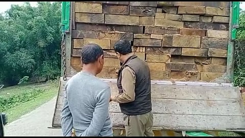 Illegal timber-laden truck seized in Tinsukia district