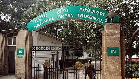 NGT dismisses plea for review of order on cigarette butts