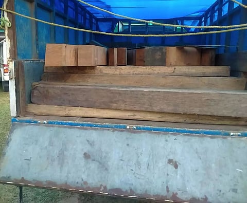 Smuggled Sal timber worth Rs 1.5 lakh seized in Mangaldai