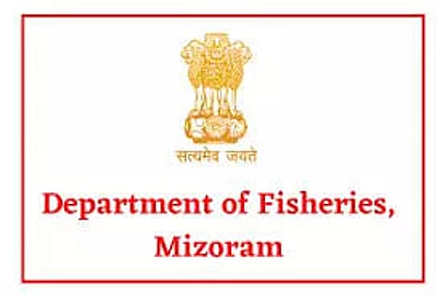 Department of Fisheries Mizoram Recruitment 2020 - Assistant Director, Latest Job Openings