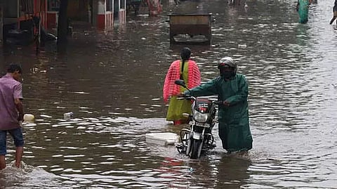 Three die as Nivar wreaks havoc in Tamil Nadu