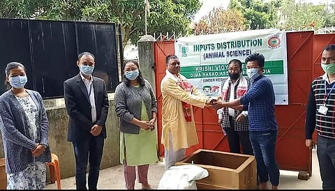 Poultry farmers urged to adopt improved poultry variety Rainbow Rooster