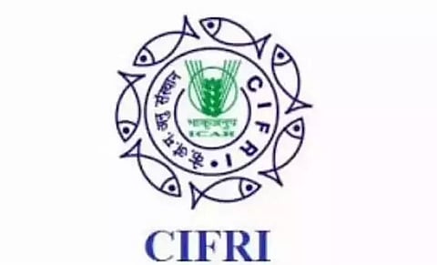 CIFRI Recruitment 2020 - Senior Research Fellow(SRF) Vacancies, Latest Jobs Openings