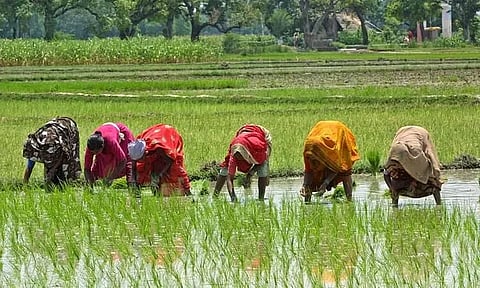 Northeast & Kerala lead in bridging gender gap, says PM-Kisan data