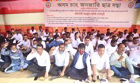 Many forging certificates for MBBS & BDS courses: ATTSA