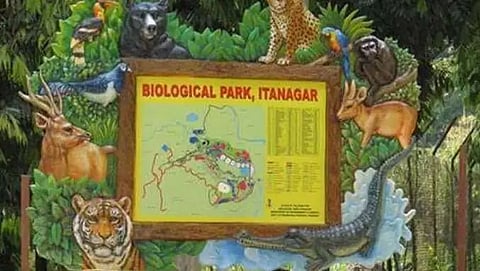 Itanagar Zoo gets guests under animal exchange programme