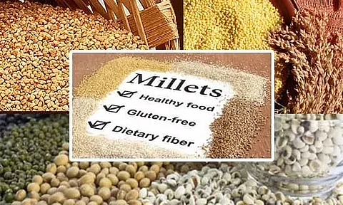 Arunachal Pradesh to start cultivation of millet soon