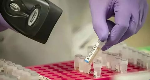 Britain warns new virus strain 'out of control', UK flights banned