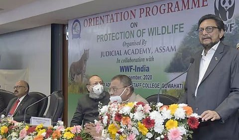 CJI on wildlife