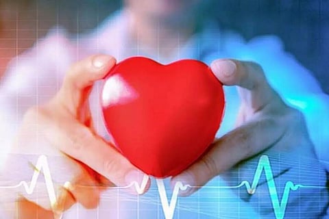 How to prevent heart diseases among youths