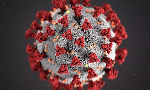 Health Department warns of surge in COVID-19 cases in Nagaland in New Year