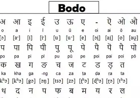 Bodo becomes associate official language in Assam