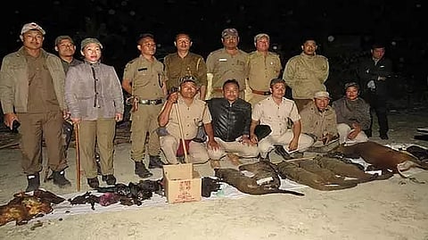 Animal carcasses, meat confiscated from Doimukh check gate in Arunachal Pradesh