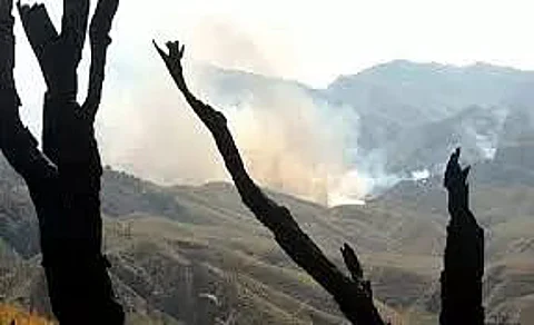 Devastating Dzukou inferno: IAF helicopters pressed into service