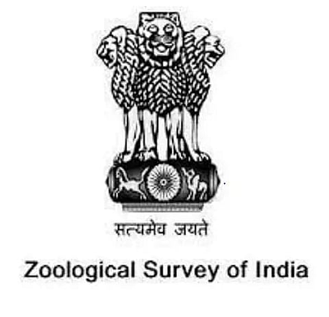 Zoological Survey of India(ZSI) Job Recruitment - 1 JRF/JPF Vacancy, Job Opening