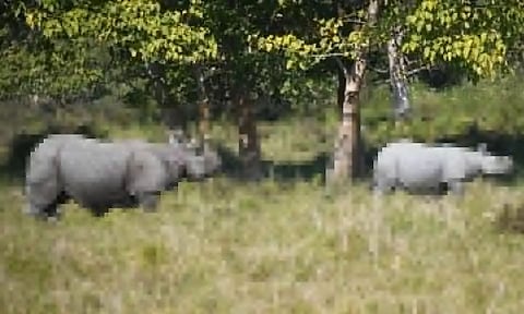 Picture Courtesy: Twitter handle of Kenneth Juster