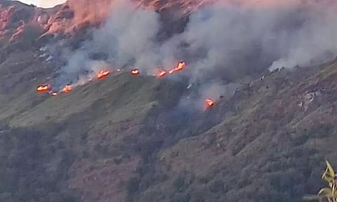 Dzukou Valley Fire is Man-Made says Naga People's Front