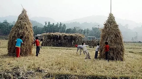 Lai khuta of Bhogali Utsav 2021 erected in Demow