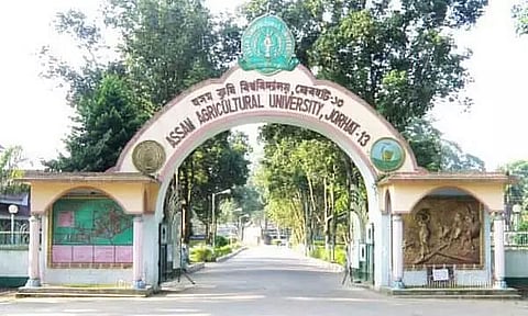 Arunachal Seeks Support from Assam Agricultural University for GI Registration of Indigenous Crops
