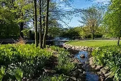 Embrace Green Spaces, Blow Away Lockdown Blues