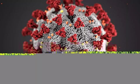 S Korea reports 665 more COVID-19 cases