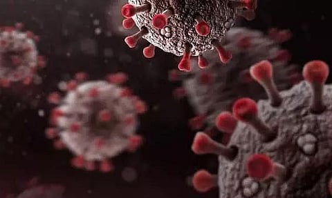 Pakistan's COVID-19 cases exceed 500,000 mark