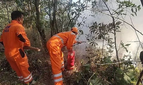 Wildfire in Nagaland's Jakhama doused within 10 hours