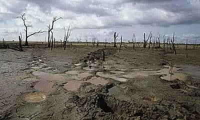 Dying wetlands