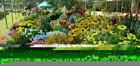 Agri-Horticulture Show from January 21, 2021