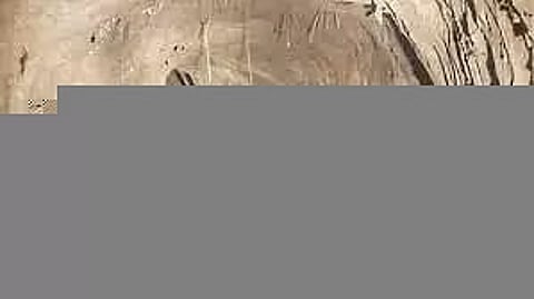 BSF Unearths Infiltration Tunnel on J&K Border