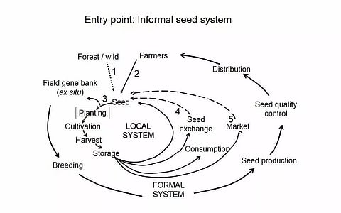 Programme to strengthen seed system of farmers conducted