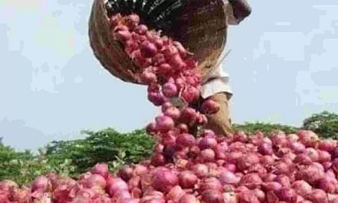 Centre bans export of onions with immediate effect