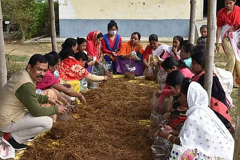 Training on scientific production of mushroom at Dibrugarh