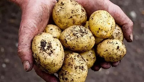 Representative image