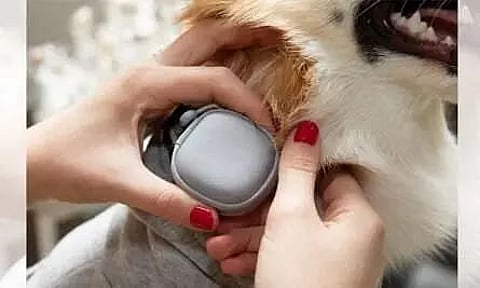 Samsung, LG unveil home appliances that take care of your pet