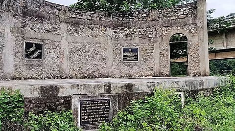 Dr Bhupen Hazarika Mancha becomes host to wild plants at Baligate