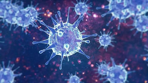 World Health Organization reported a record hike of coronavirus cases globally