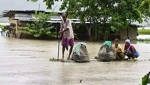 Disaster mitigation measures