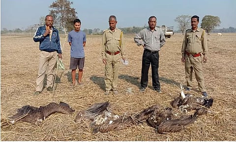 Four vultures of rare species die in Dhakuakhana subdivision of Lakhimpur district