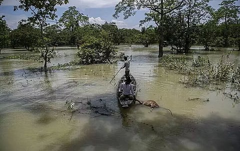 The toll in floods across Assam rose to 87 with 2 Deaths in last 24 hours