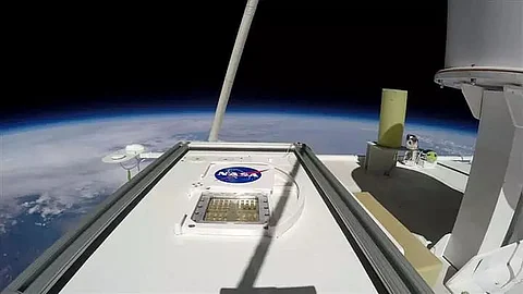 Microbes from Earth could temporarily survive on Mars