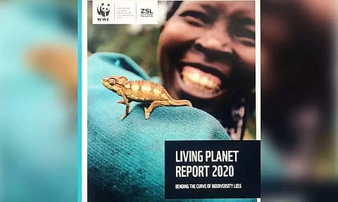Wildlife Population dips by 68% in 46 years, bold efforts needed to reverse trend: WWF Report