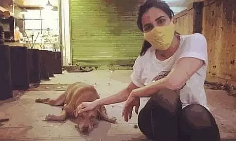 Hope coronavirus has reaffirmed our faith in love: Kirti Kulhari